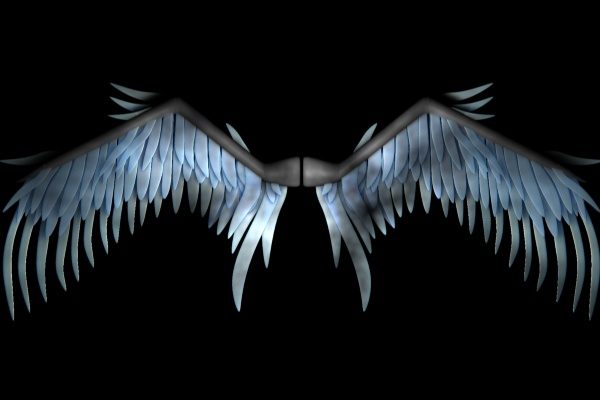 Ice wings