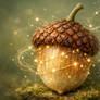 WWA Challenge 11/6 Fae Touched Acorn