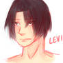 levi headshot