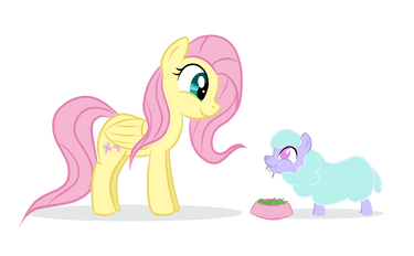 Fluttershy and a tiny Ewe