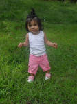 Walking in the grass 1 by Seegster