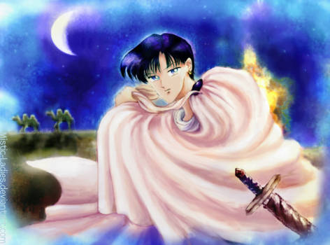 Sailor Moon - Moonlight Knight
