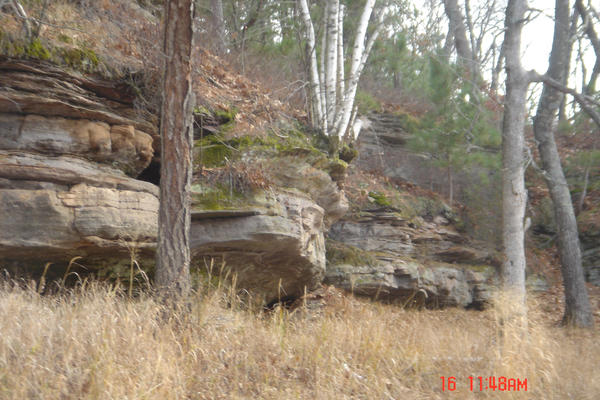 Woodland Rocks by TehWolvie on DeviantArt