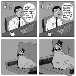 Pigeon Interview