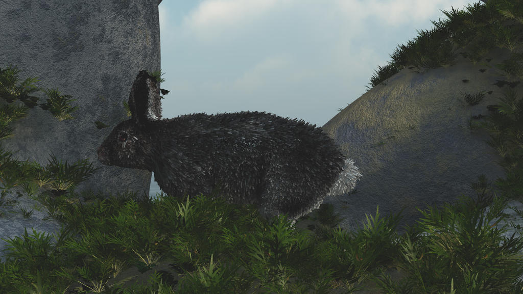 Frecked Rabbit Rabbit by fractal2cry on DeviantArt