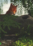 Fox050815 by fractal2cry