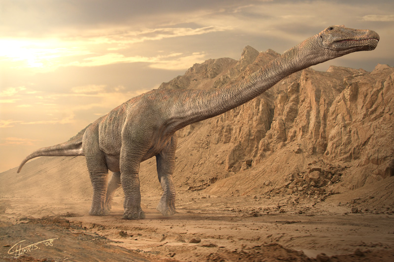 Australian Titanosaur