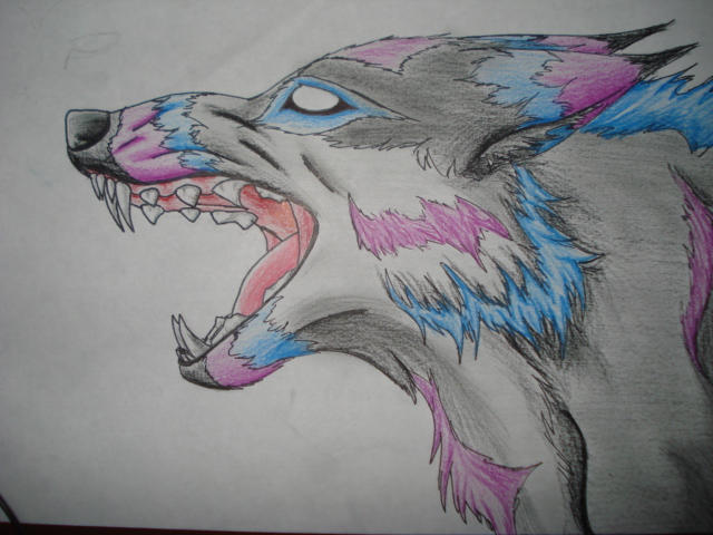 Elemental wolf 1 by CerberusOni9595japan on DeviantArt