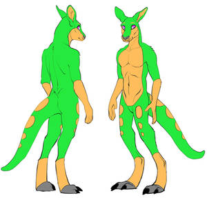 Seizure Roo Ref