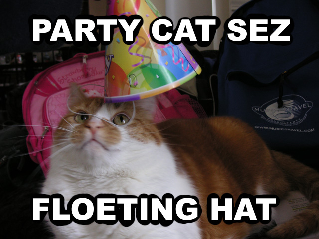 PARTY CAT