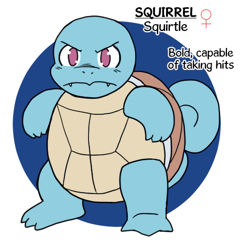 Squirrel the Squirtle