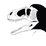 Sinraptor skull