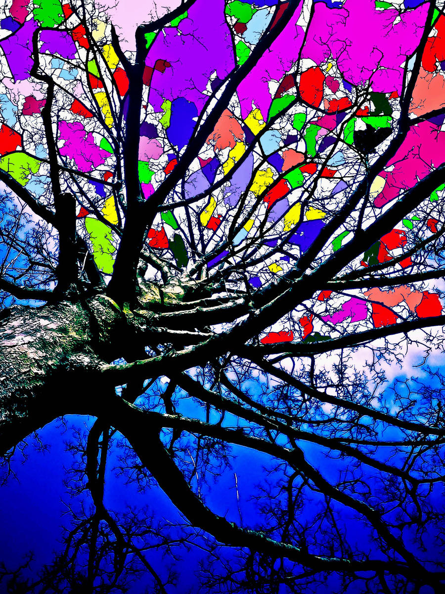 LSD tree