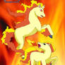 Rapidash and Ponyta