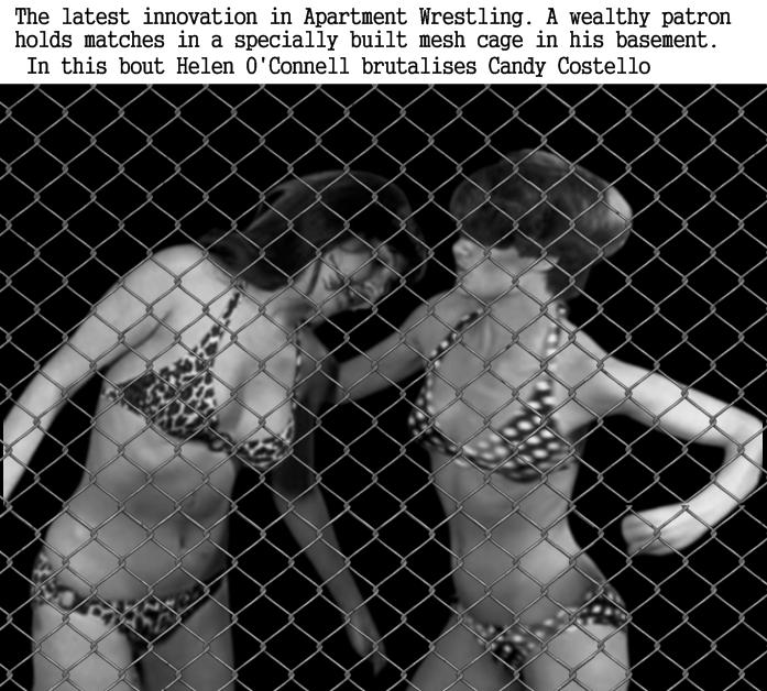 Apartment Wrestling In The Cage by Brave18 on DeviantArt