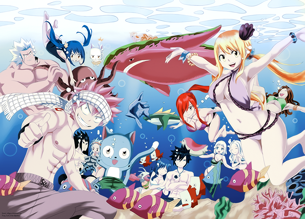 Fairy Tail 500