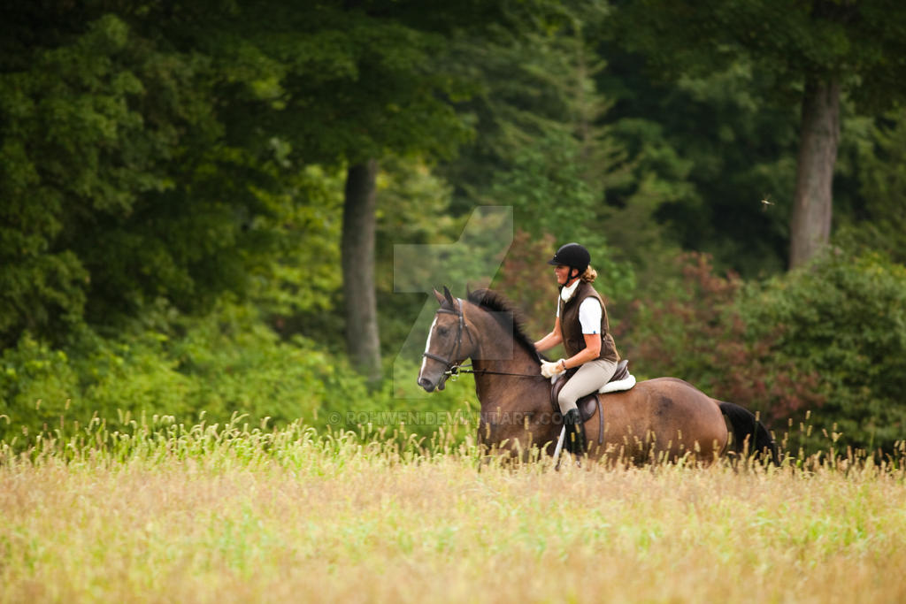 autumn canter