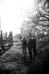 A Girl and Her Horse