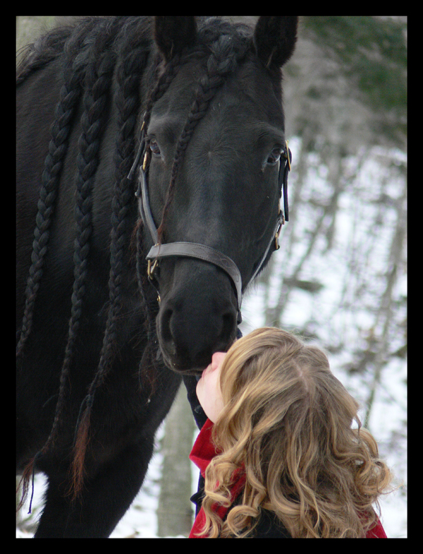 the kiss