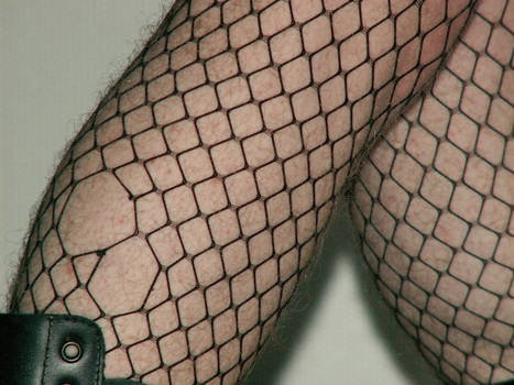 Life Through Fishnet Stockings