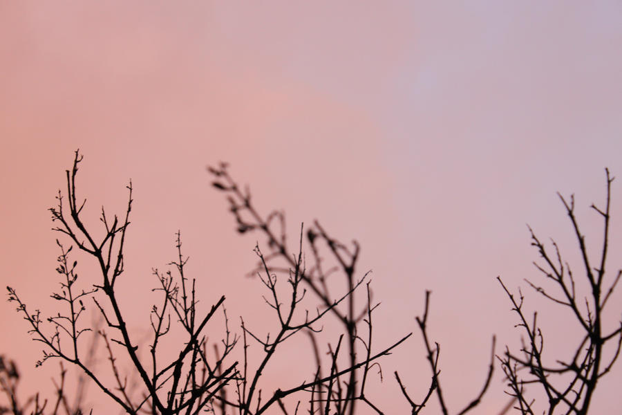 A Red Evening