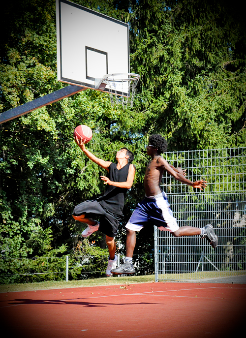 Basket3