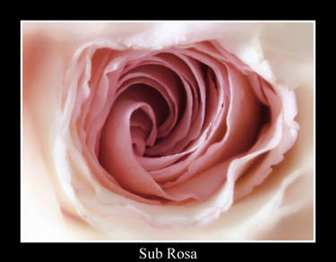 Sub Rosa