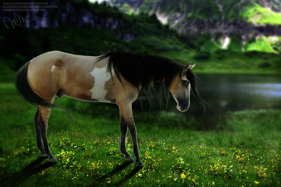 To Find Serenity by shards-of-a-dream