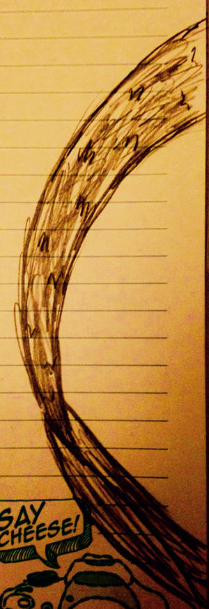 More Tail Action (Lol)