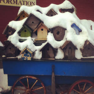 Snowy birdhouses