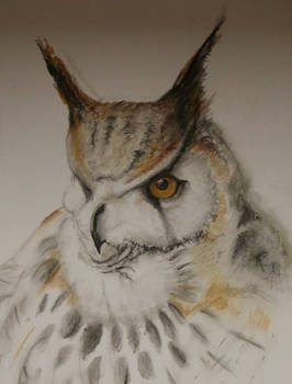 Eagle Owl in Tinted Charcoal