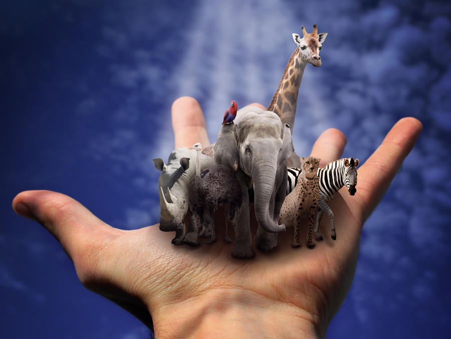 Animals In Hand Handfull of animals by walkmaz on DeviantArt