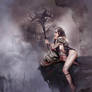 Warrior Serie 7