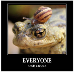Everyone needs a friend