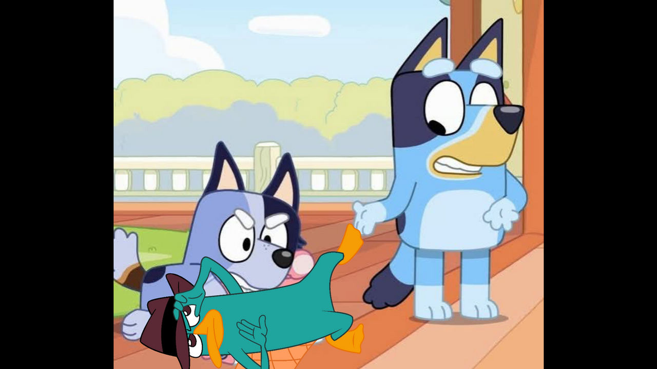 Socks Bite Socks Bites Perry The Platypus by ChristinMarnier2000 on DeviantArt