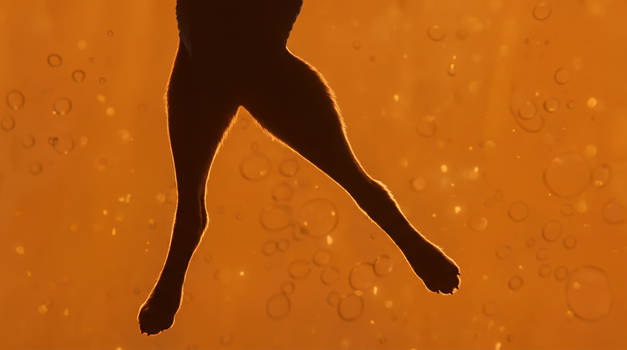 Vixey's Feet Underwater