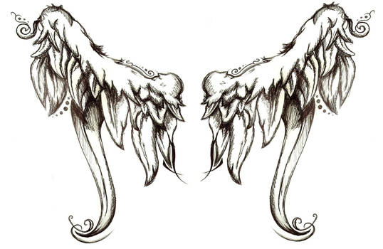 Angel's wings