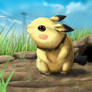 Real Pichu
