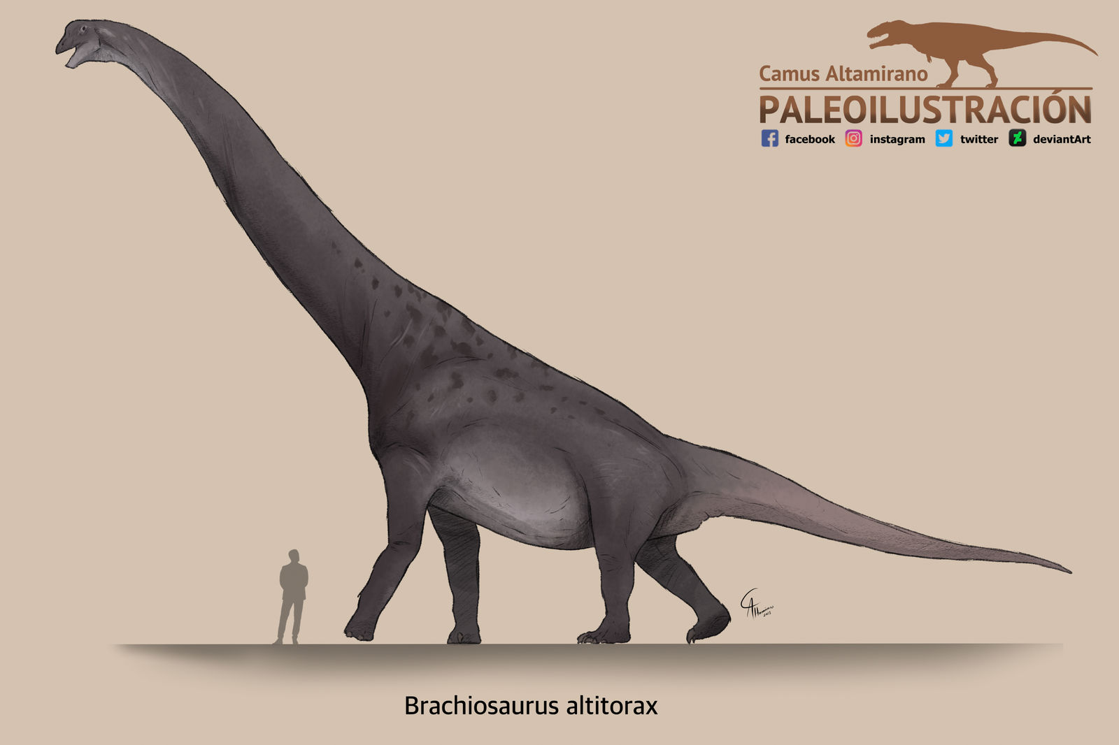 Brachiosaurus altithorax