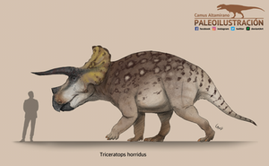 Triceratops horridus