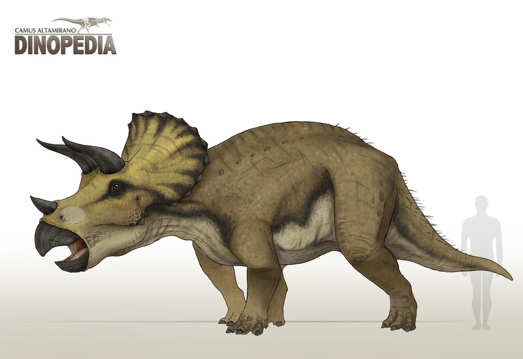 Triceratops Horridus By CamusAltamirano On DeviantArt triceratops-horridus-by-camusaltamirano-on-deviantart