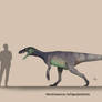 Herrerasaurus ischigualastensis