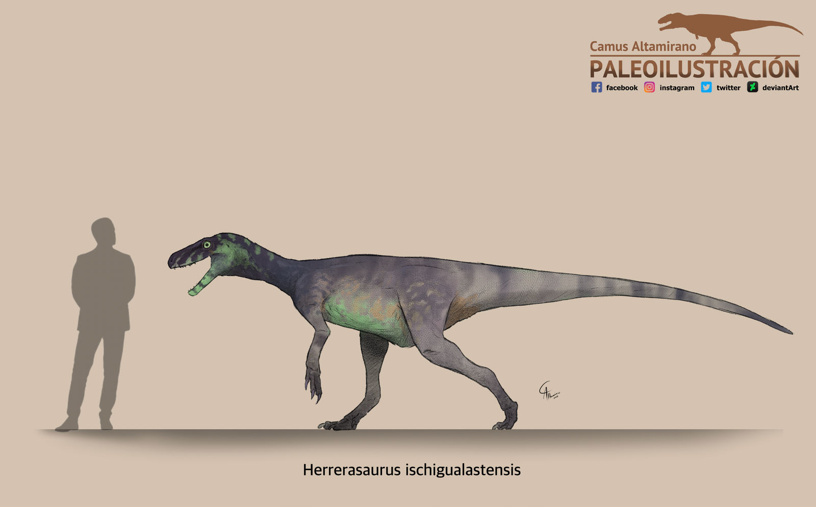 Artist's reconstruction of Herrerasaurus
