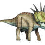 Styracosaurus albertensis