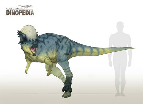 Pachycephalosaurus wyomingensis