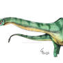 Mamenchisaurus constructus