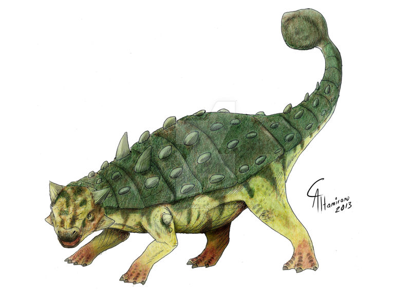 Ankylosaurus magniventris