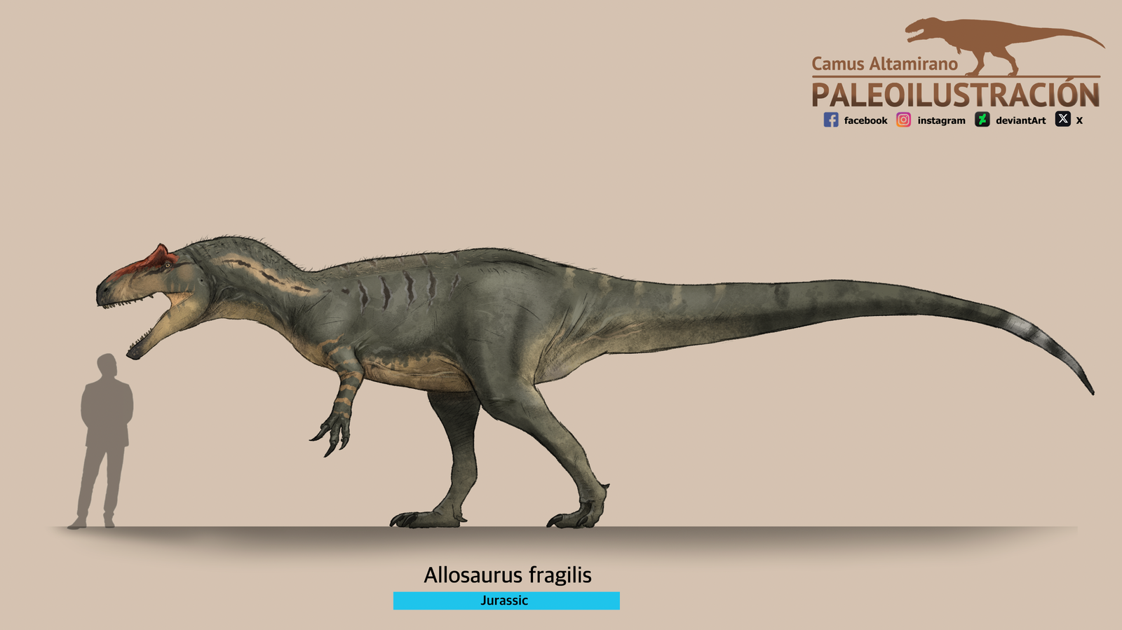 Allosaurus fragilis