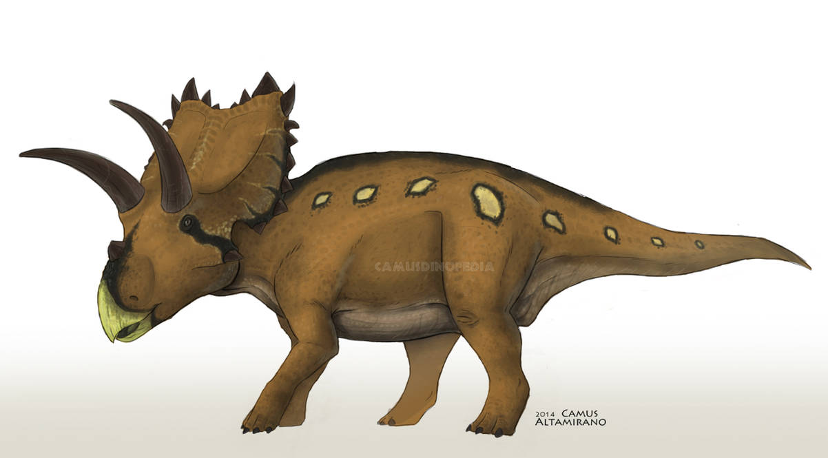 Coahuilaceratops magnacuerna by CamusAltamirano