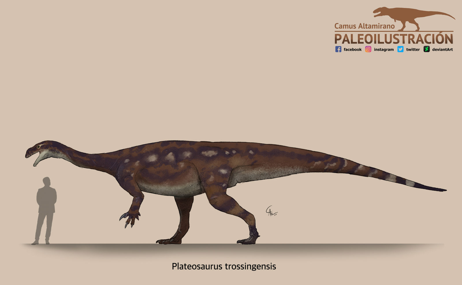 Artist's reconstruction of Plateosaurus